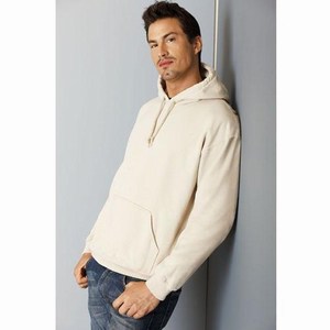 Hooded Sweater Heavy blend